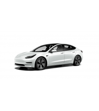 PPF Tesla model 3 insteg